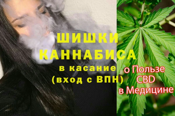 эйфоретик Аркадак
