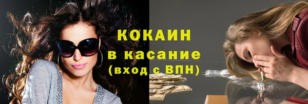 дмт Арсеньев