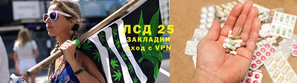дмт Арсеньев