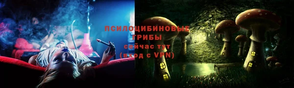 дмт Арсеньев