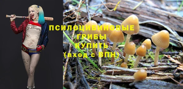 эйфоретик Аркадак