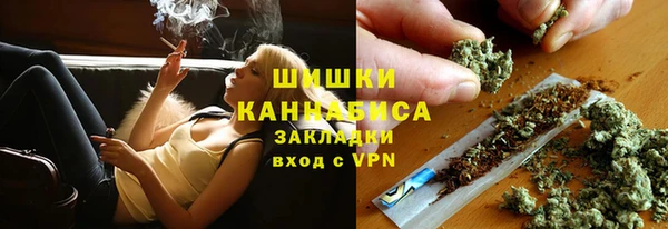 дмт Арсеньев