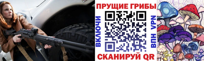 blacksprut ссылки  продажа наркотиков  Новоульяновск  Псилоцибиновые грибы Psilocybe 